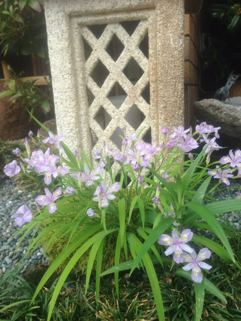 作品集・葉月園